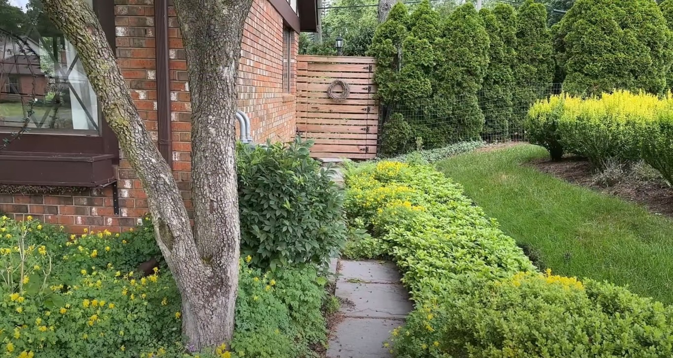 Irrigation and sprinkler system installation in La Porte, TX